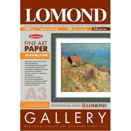 Бумага художественная Grainy,А4, 200 г/м2,(10 л.)  0912241